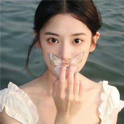 鼩鼱的巢穴海报