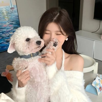 风流家族粤语海报
