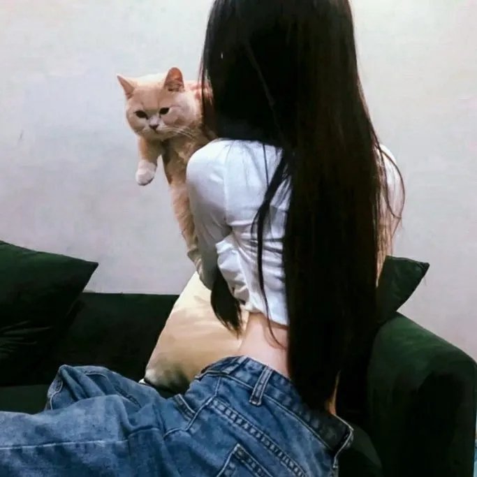 哈拉婚礼海报